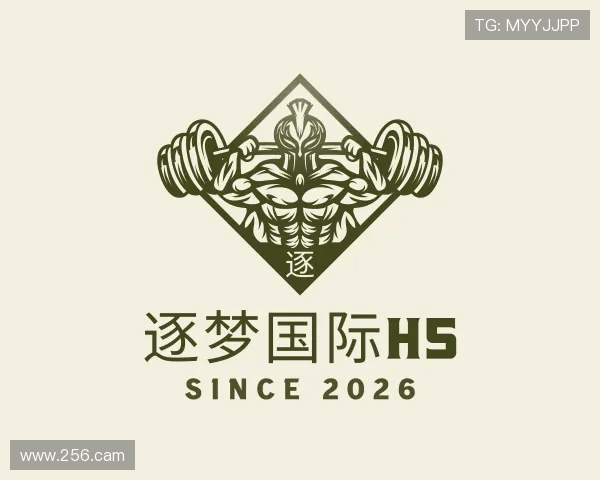 导引逐梦国际h5